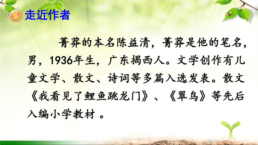 15.《小虾》课件(共24张PPT)