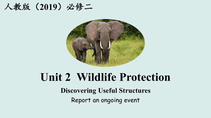 人教版（2019）必修二 课件  Unit 2  Wildlife protection Discovering Useful Structures课件（22张PPT）