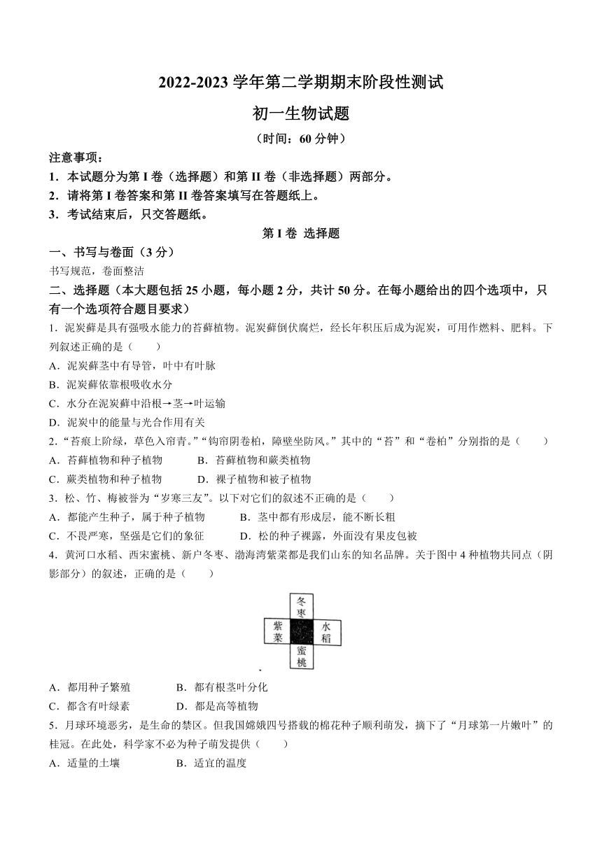 山东省烟台市龙口市2022-2023学年六年级下学期期末生物试题(无答案)