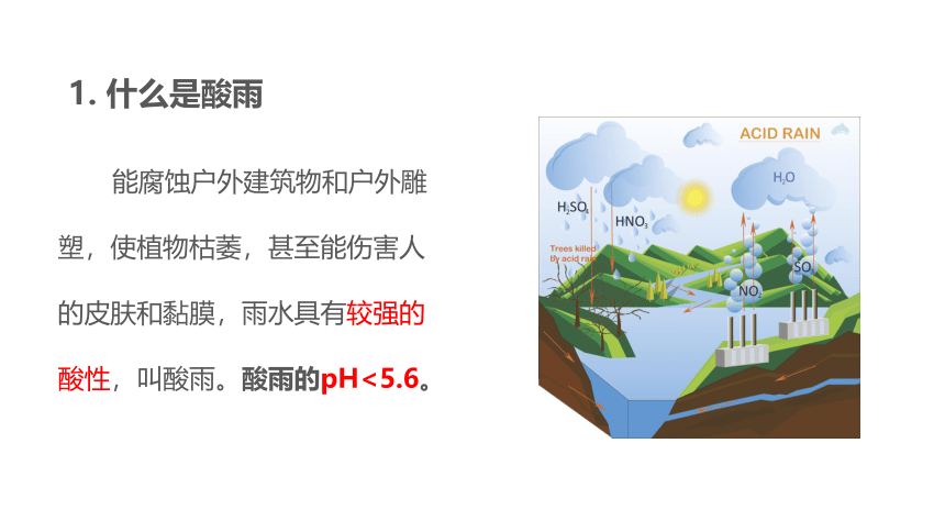 4.7.2 探究环境污染对生物的影响（教学课件）-七年级生物下册同步备课系列（人教版）(共23张PPT)