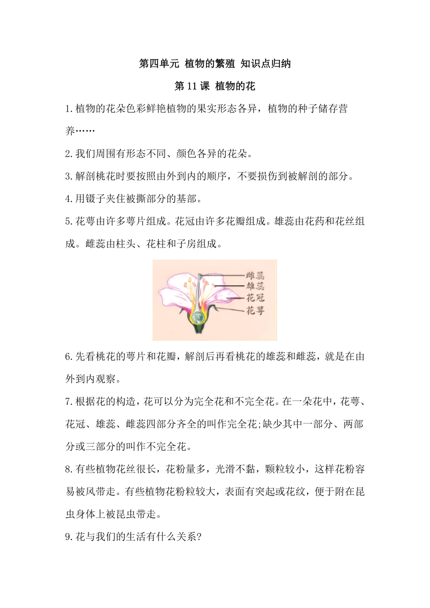 2023-2024学年科学三年级下册单元速记·巧练系列（青岛版）第四单元 植物的繁殖知识清单