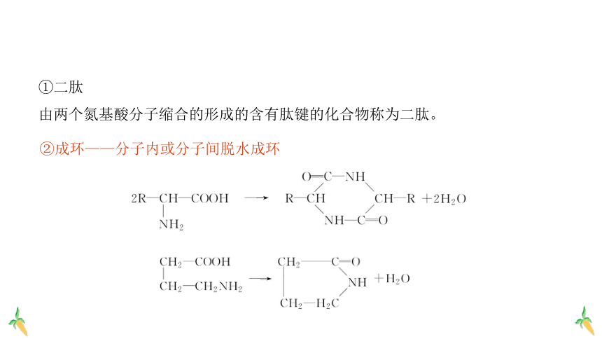 高中化学选修三有机化学基础课件（人教版）4.2 蛋白质（共45页）