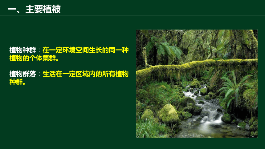 5.1主要植被与自然环境(共53张PPT)课件-2023-2024学年高一地理（湘教版2019必修第一册）
