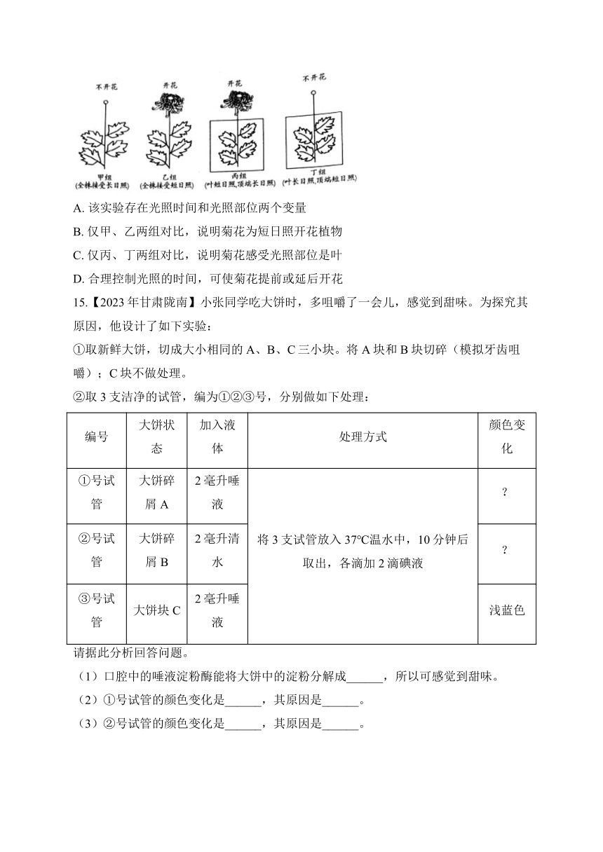 （21）实验与探究——2023年中考生物真题专项汇编（含答案）