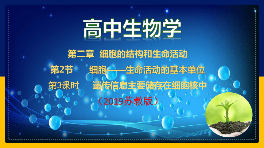 2.2.3细胞的结构和生命活动——细胞核（课件）(共47张PPT1个视频)-2023-2024学年高一生物（苏教版2019必修1）