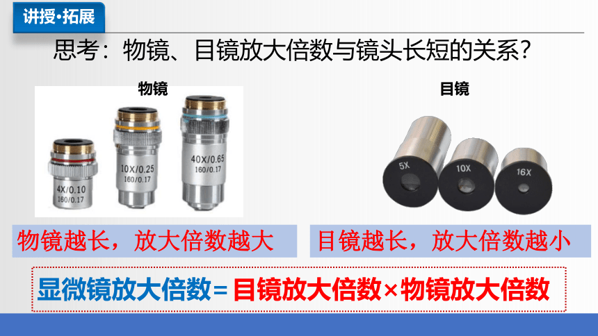 2.1.1 练习使用显微镜课件(共38张PPT)2023-2024学年人教版生物七年级上册