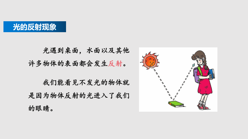 3.5 光的反射（课件）(共49张PPT)八年级物理上册同步备课（苏科版）