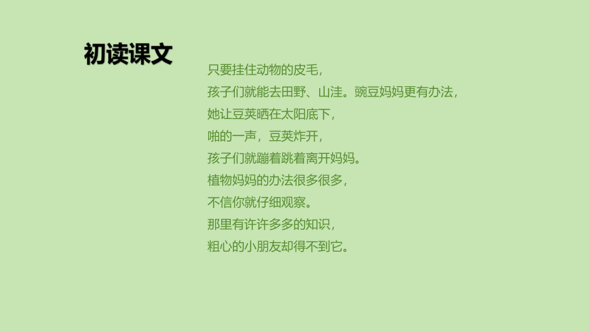 3 植物妈妈有办法 课件(共20张PPT)