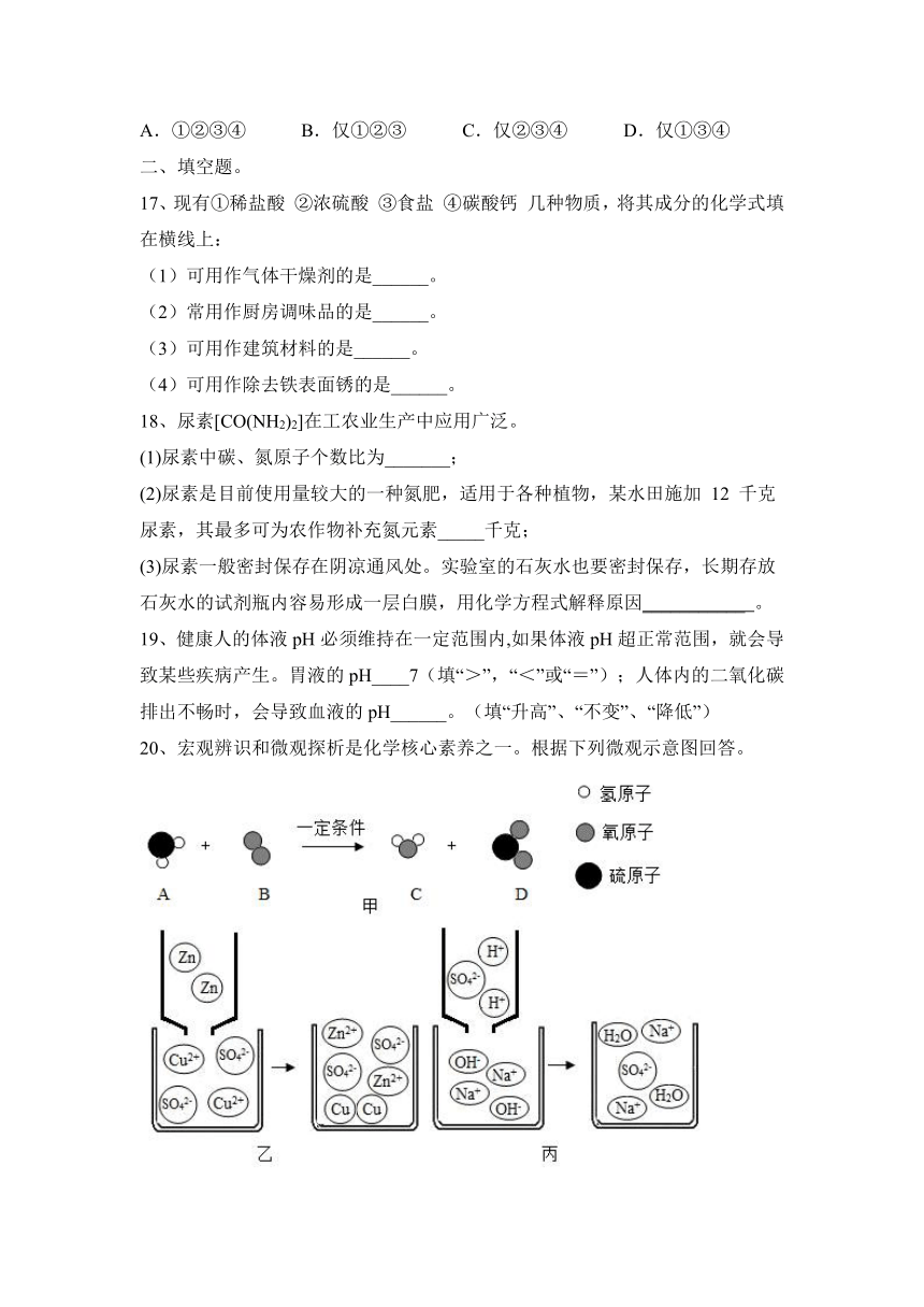 2023—2024学年鲁教版（五四学制）化学九年级全一册第二单元 常见的酸和碱 期末复习检测（含答案）