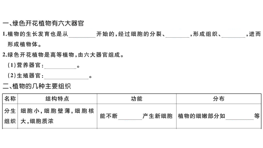 2.2.3植物体的结构层次习题课件(共24张PPT)