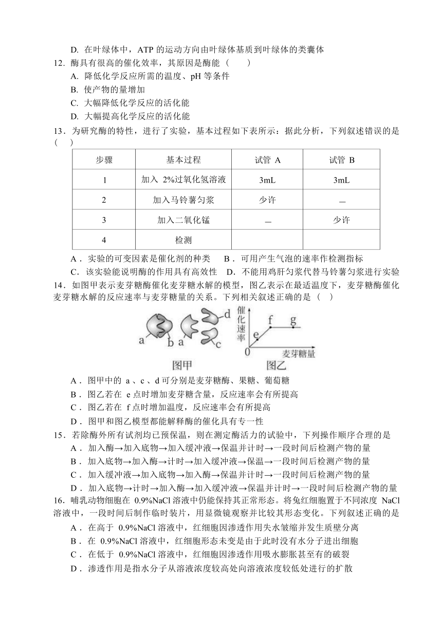 浙江省绍兴市越城区2023-2024学年高一上学期12月月考测试生物学试卷（含答案）