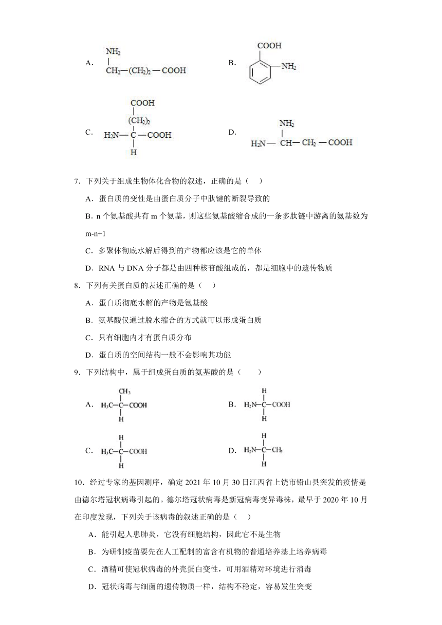 1.3细胞中的蛋白质和核酸 练习（解析版）