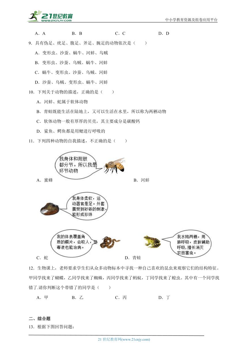 2023-2024学年初中生物济南版七年级上册期末复习专题14——无脊椎动物（含解析）