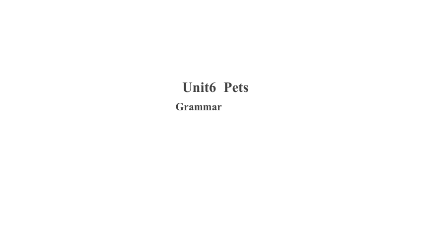 Module 3 Animals Unit 6 Pets Grammar 课件 牛津深圳版英语八年级下册 (共21张PPT)