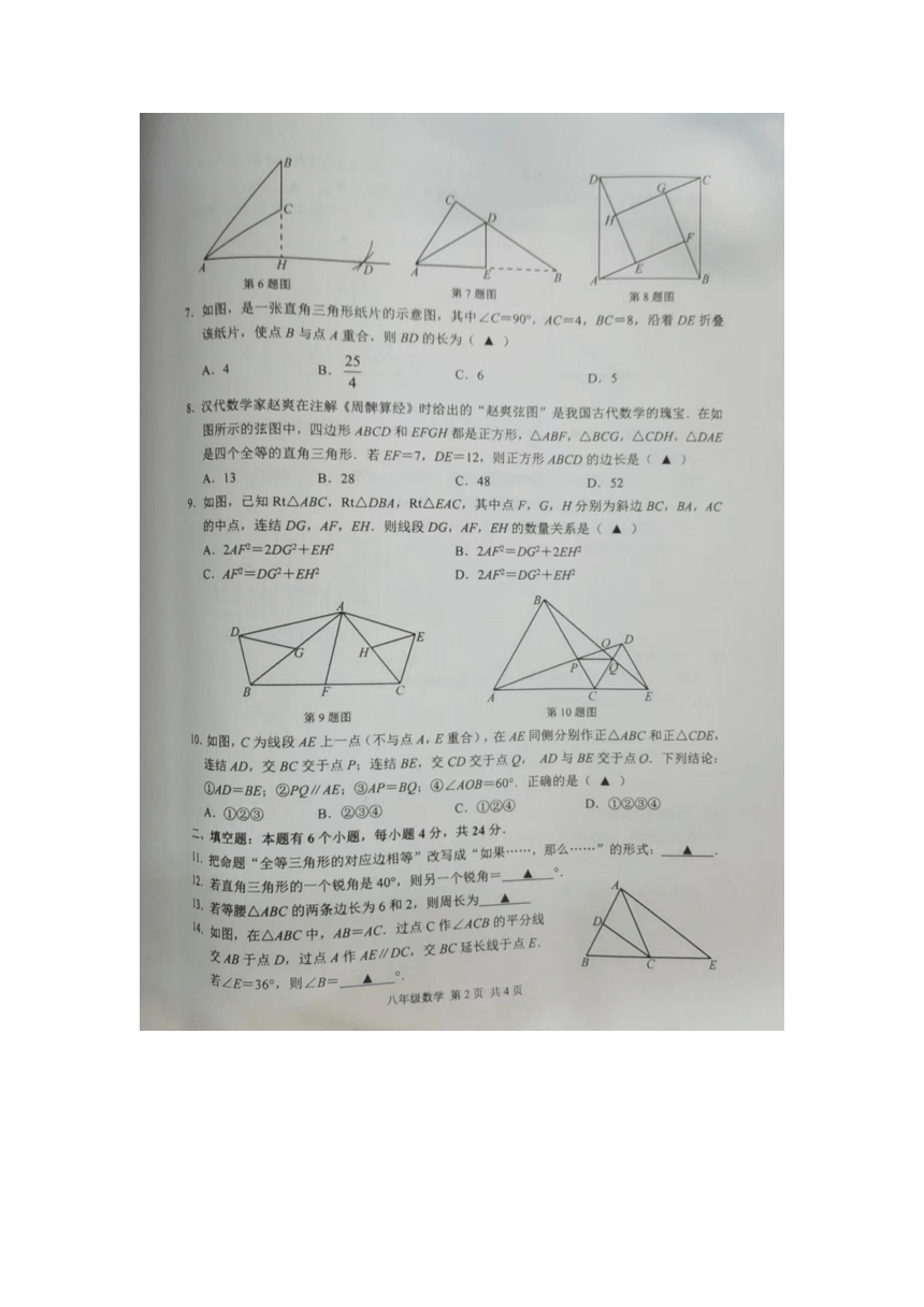 浙江省杭州市临平区2023-2024学年八年级上学期期中检测数学试题（图片版，无答案）