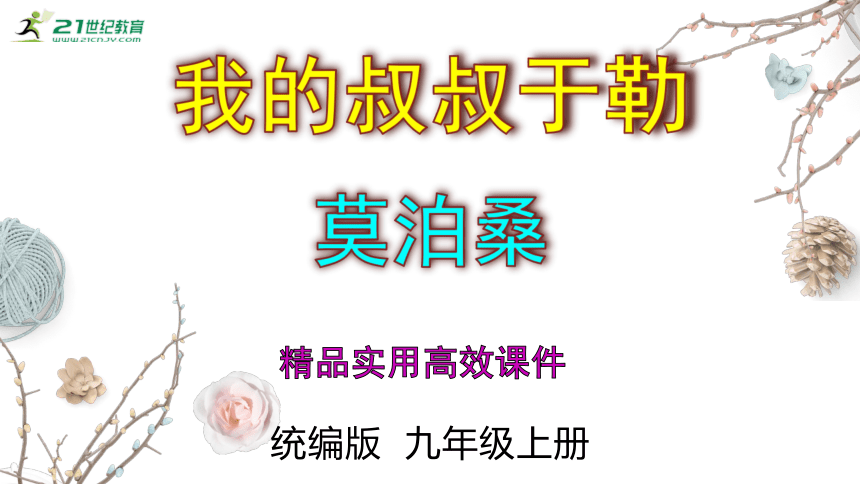 第16课《我的叔叔于勒》精品实用高效课件(共43张PPT)