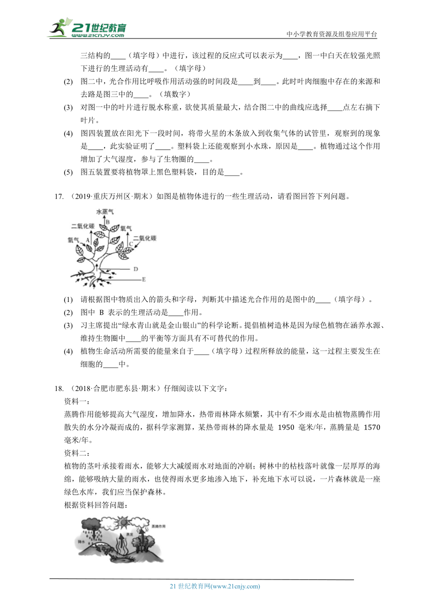 2023-2024学年初中生物北师大版七年级上册3.7绿色植物与生物圈章节同步练习（答案+解析）