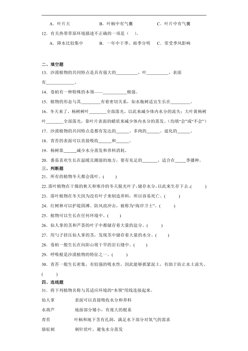 苏教版三年级下册科学第二单元植物与环境综合训练（含解析）