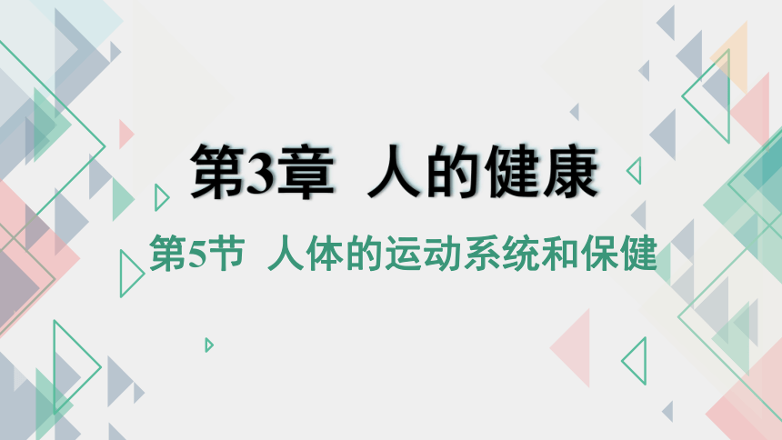 3.5人体的运动系统和保健 —2023-2024学年浙教版科学九年级下册（课件 37张ppt）