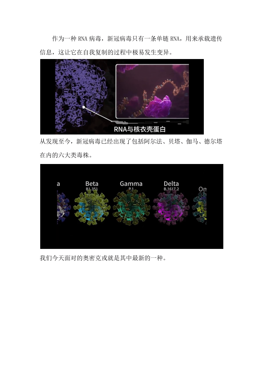 4.4 免疫学的应用——免疫预防 教学设计 2022-2023学年高二上学期生物人教版（2019）选择性必修1