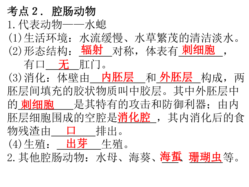 5.1 动物的主要类群 复习课件(共60张PPT)2023-2024学年人教版生物八年级上册