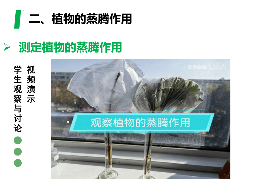 3.3 绿色植物与生物圈的水循环-2023-2024学年七年级生物上册同步教学精品课件（人教版）(共32张PPT)