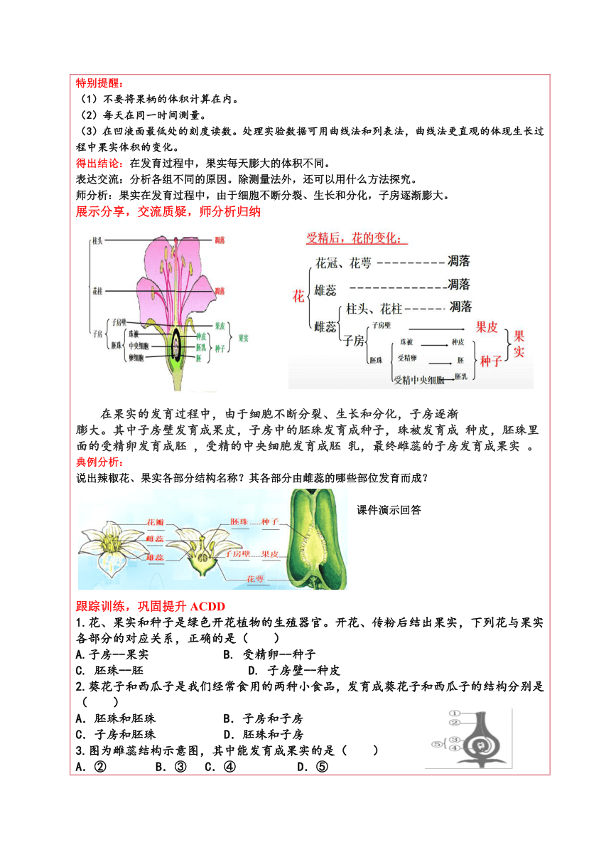 4.1.3果实和种子的形成（第一课时）教案（表格式）济南版生物八年级上册