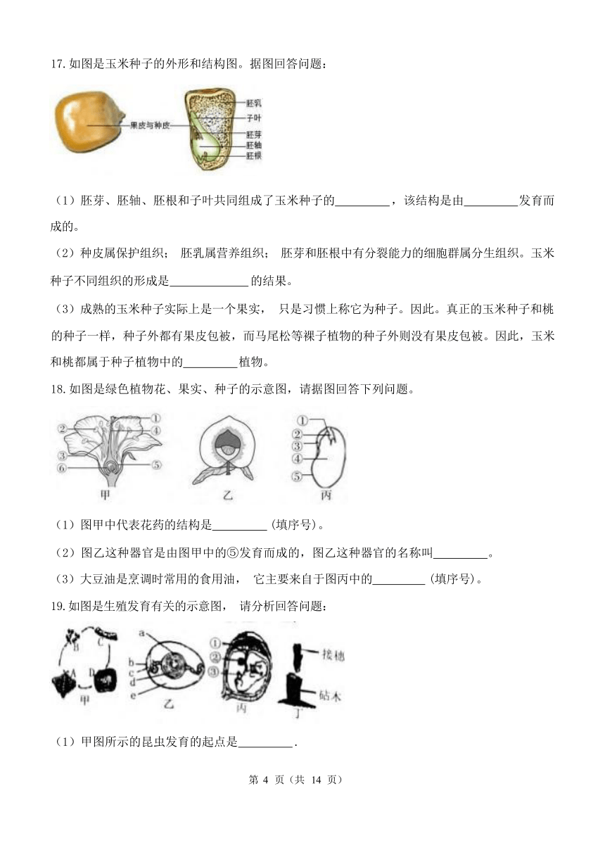 第1章 代代相传的生命 单元测试（含解析）