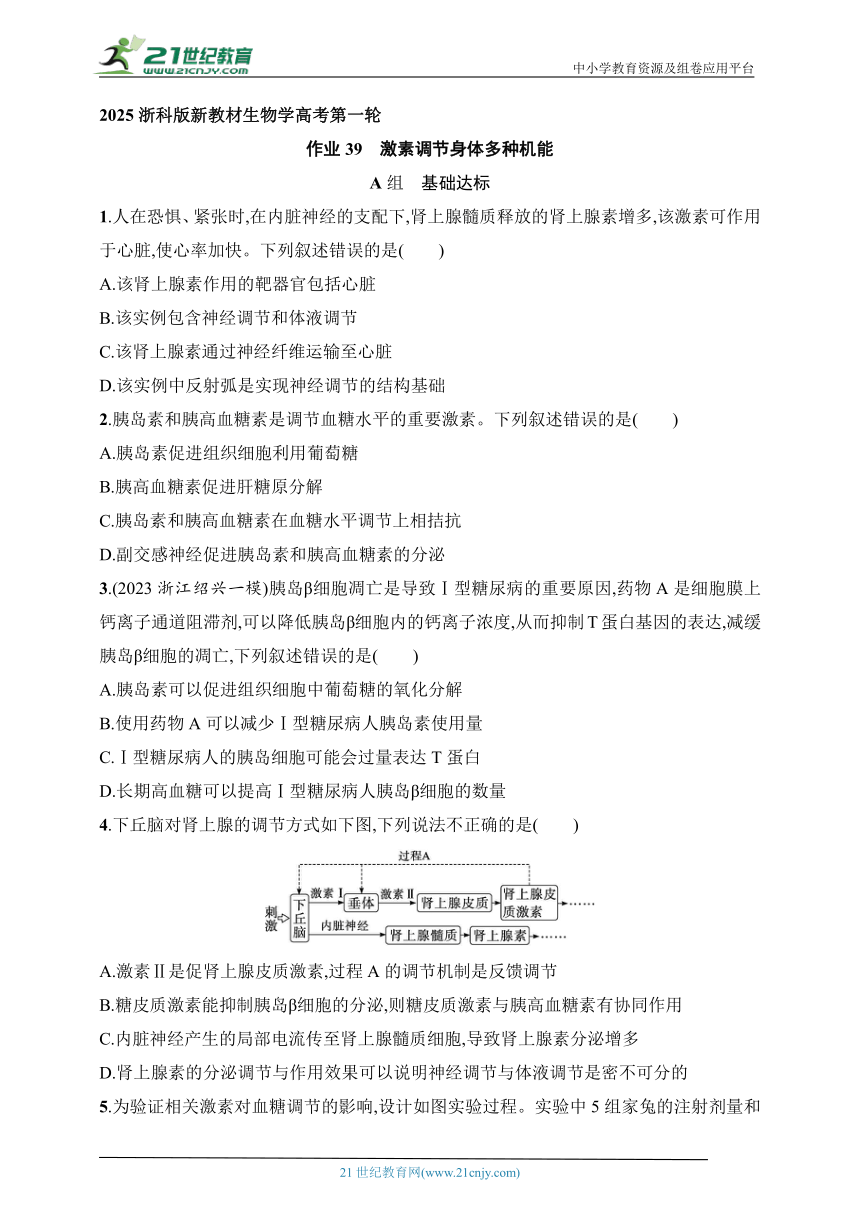 2025浙科版新教材生物学高考第一轮基础练--作业39　激素调节身体多种机能（含解析）