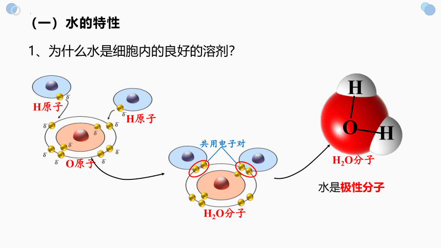 生物人教版（2019）必修1 2.2细胞中的无机物（共35张ppt）课件