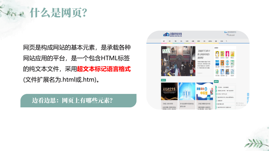 1.1编辑网页信息 课件(共17张PPT) 电子工业社版（2022）信息科技