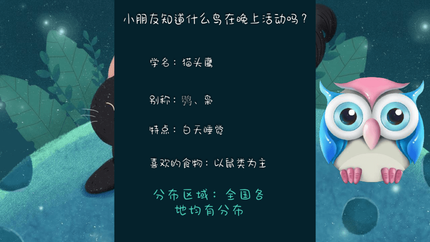 美术社团课程《卡爱的夜行者》小学延时服务(共19张PPT)