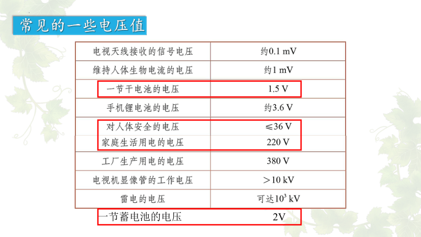 13.5  怎样认识和测量电压 课件(共25张PPT) -2022-2023学年沪粤版物理九年级上册