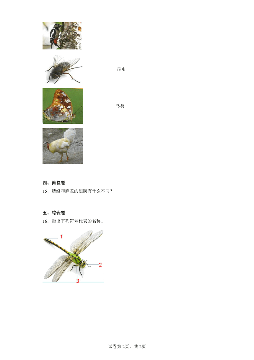 粤教粤科版（2017秋） 三年级上册1.2蜻蜓与麻雀 同步练习（含答案）