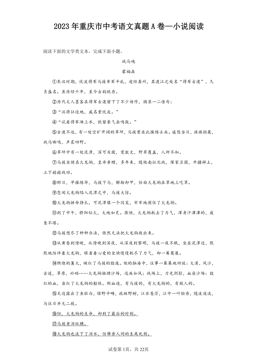 2023年重庆市中考语文真题A卷—小说阅读（含解析）