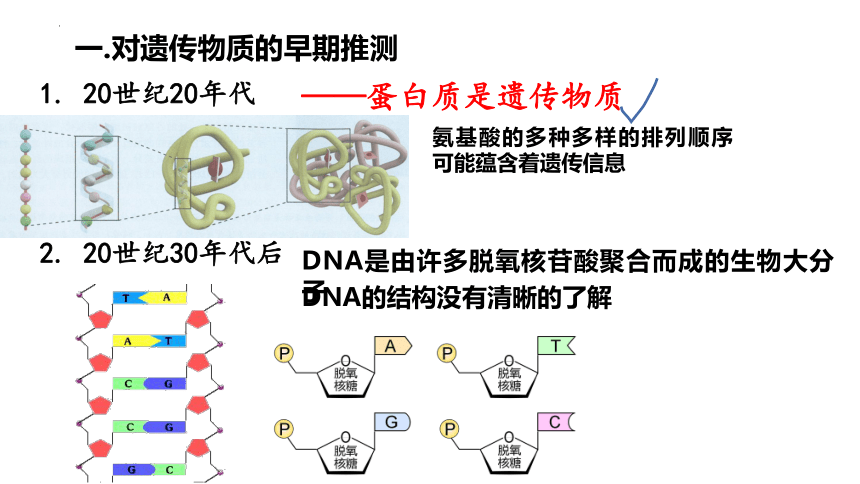 3.1DNA是主要的遗传物质-(共52张PPT1份视频)课件人教版2019必修2