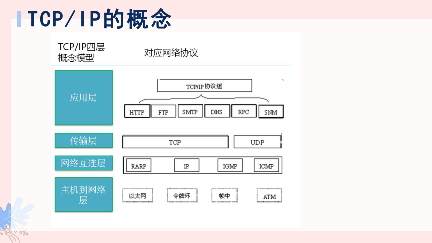 第8课 认识TCP IP 课件(共26张PPT)七年级信息技术上册（浙教版2023）