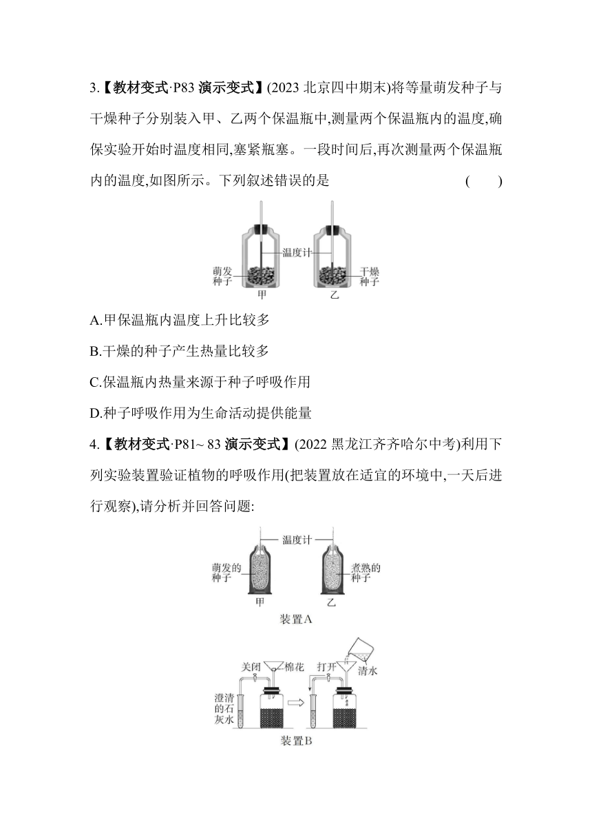 北师大版生物七年级上册3.5.2　呼吸作用素养提升练（含解析）