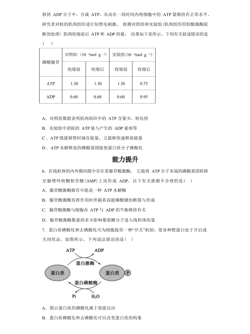 5.2  细胞的能量“货币”ATP 综合练习（有解析）  -高一生物学（人教版2019必修1）