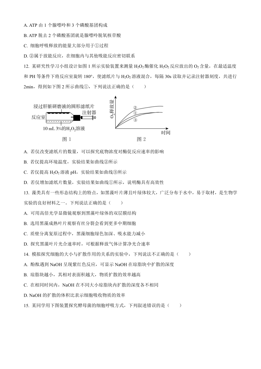 浙江省湖州安吉县2023-2024学年高一上学期9月月考生物学试题（原卷版+解析版）