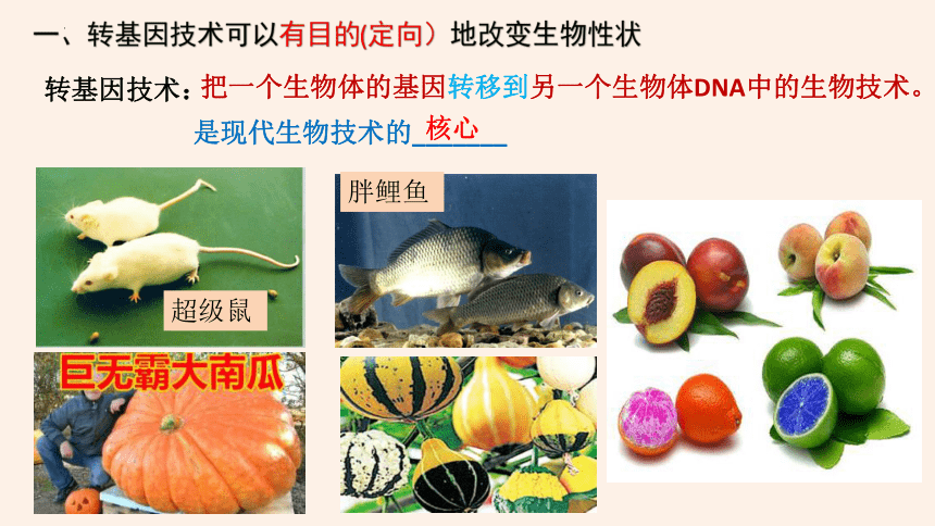 9.25.2现代生物技术 课件 （共18张PPT）北师大版生物八年级下册