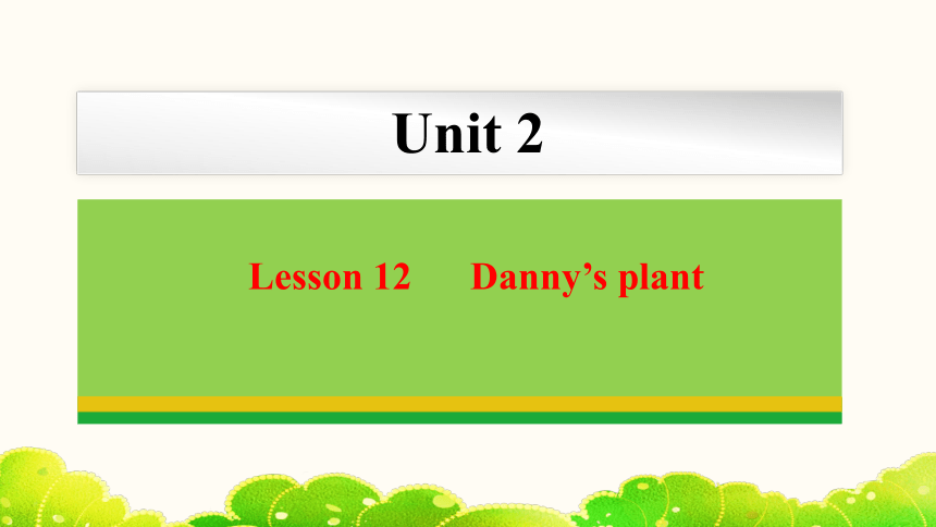 Unit 2 Lesson 12 Danny’s plant  课件(共22张PPT) 2023-2024学年冀教版英语八年级下册