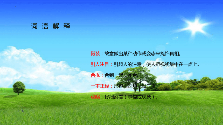 16.《金色的草地》课件(共19张PPT)