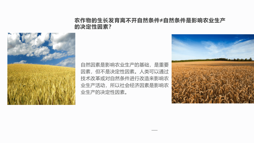 3.1 农业区位因素及其变化 人教版（2019）高中地理必修2 课件(共32张PPT)