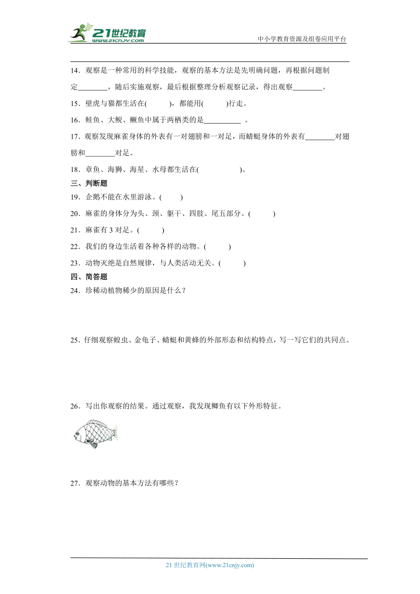 粤教版三年级上册科学第一单元《观察动物》综合训练（含答案）