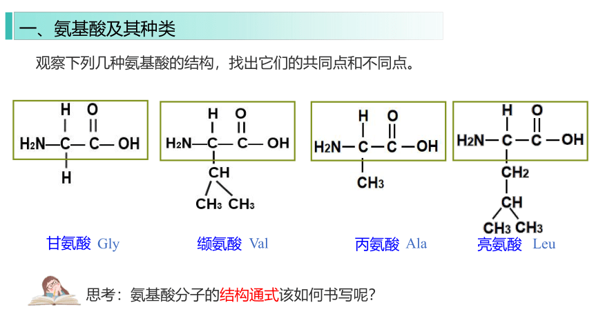 1.3.1 细胞的功能主要由蛋白质完成课件(共26张PPT)2023-2024学年高一上学期生物苏教版（2019）必修第一册