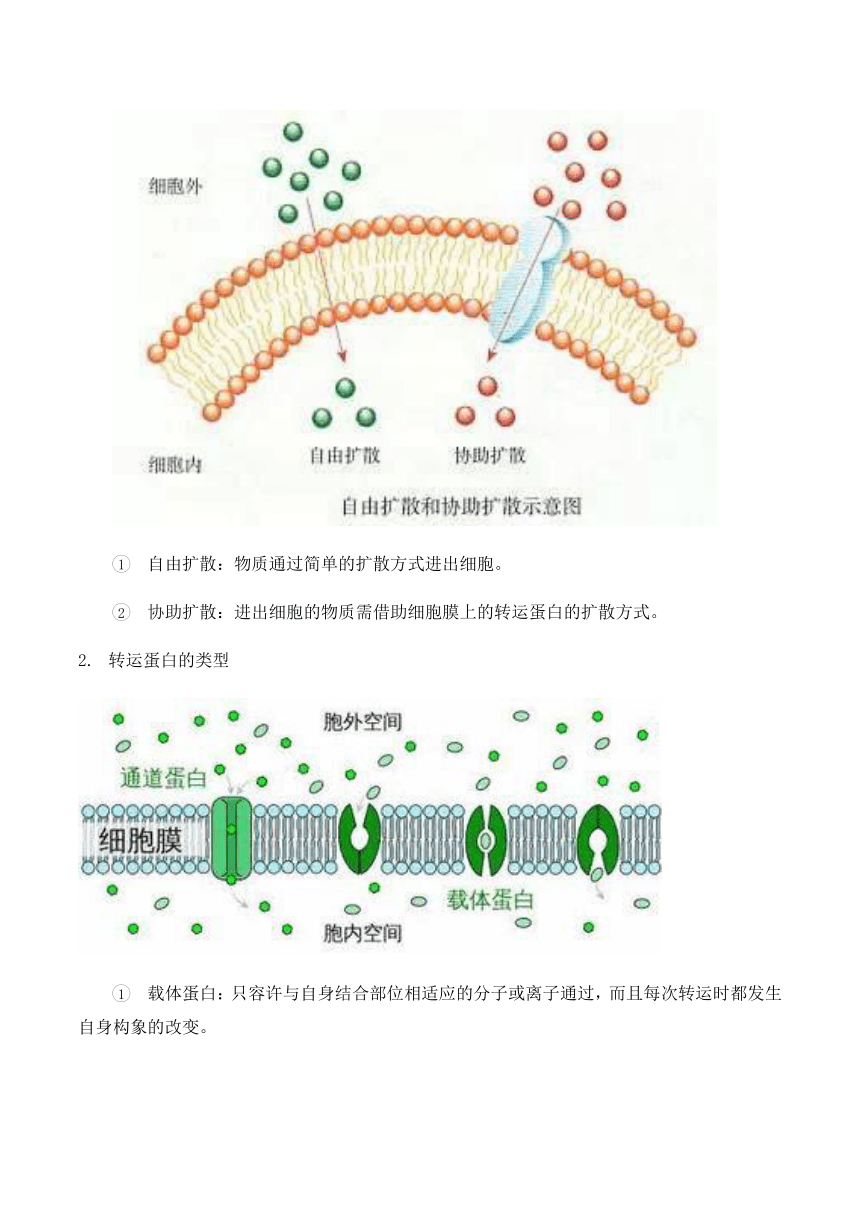 4.1被动运输的学案（含答案）