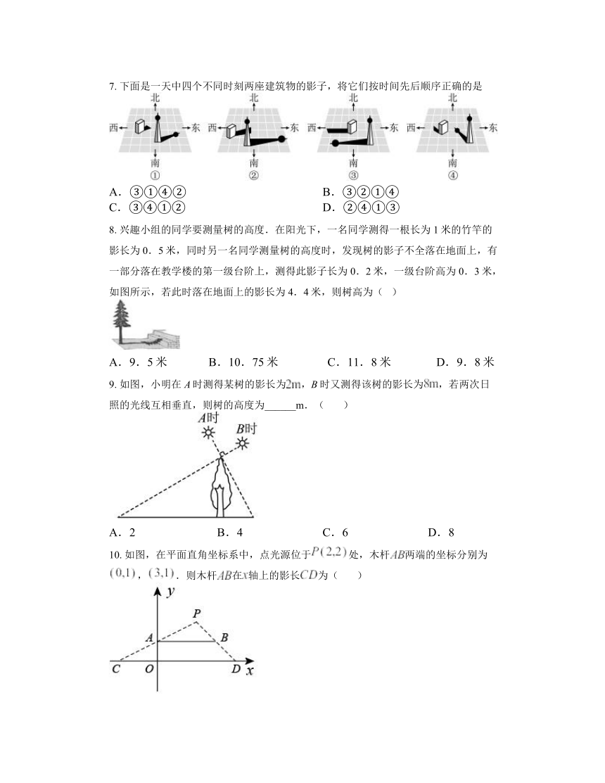 5.1 投影 同步练习（无答案）2023-2024学年北师大版九年级数学上册