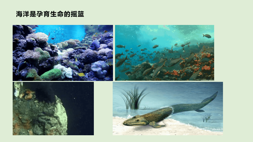 （冀人版）六年级科学上册第19课 丰富的海洋资源（教学课件）(共20张PPT)