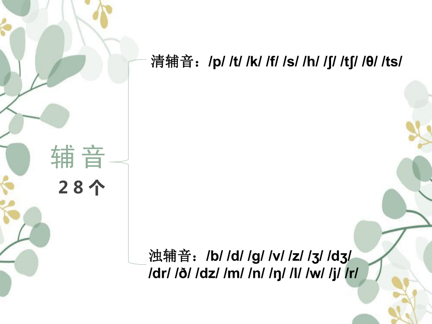 2023初中英语国际音标教学课件（辅音）(共38张PPT)